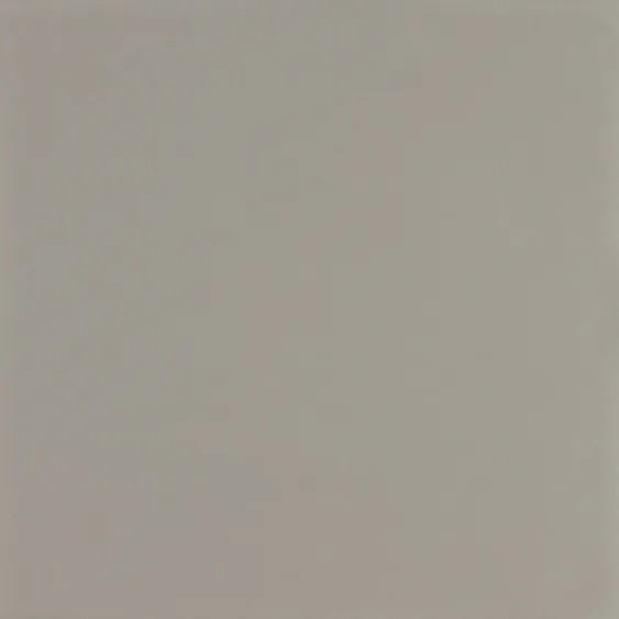 Carrelage extérieur monochrome a7l2202 - 30x30 cm