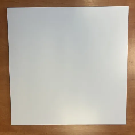 Carrelage blanc uni satin - 60x60 cm